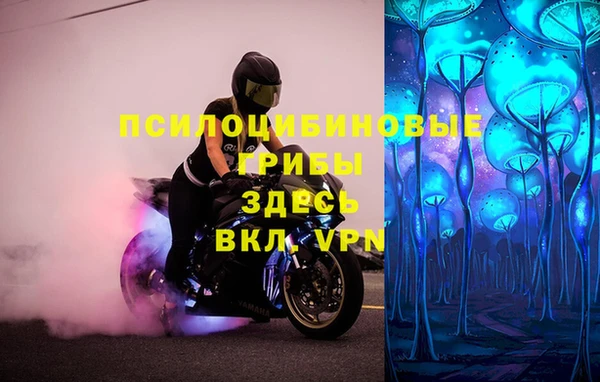 мет Алзамай
