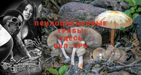 а пвп мука Алексеевка