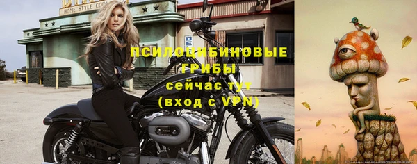 СК Абаза