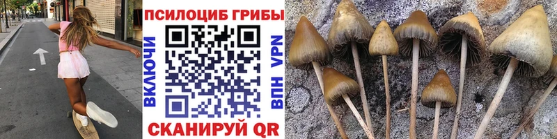 Галлюциногенные грибы Cubensis  где можно купить наркотик  Кирсанов 