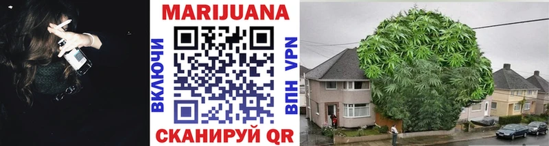 Бошки Шишки VHQ  Кирсанов 